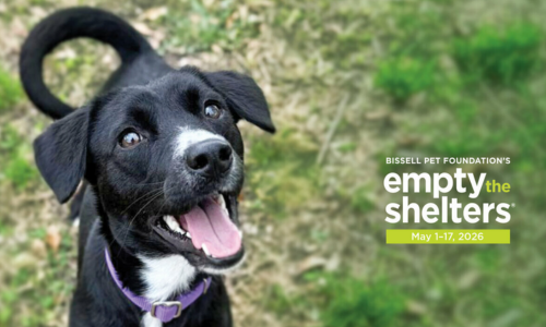 Bissel Empty the Shelters